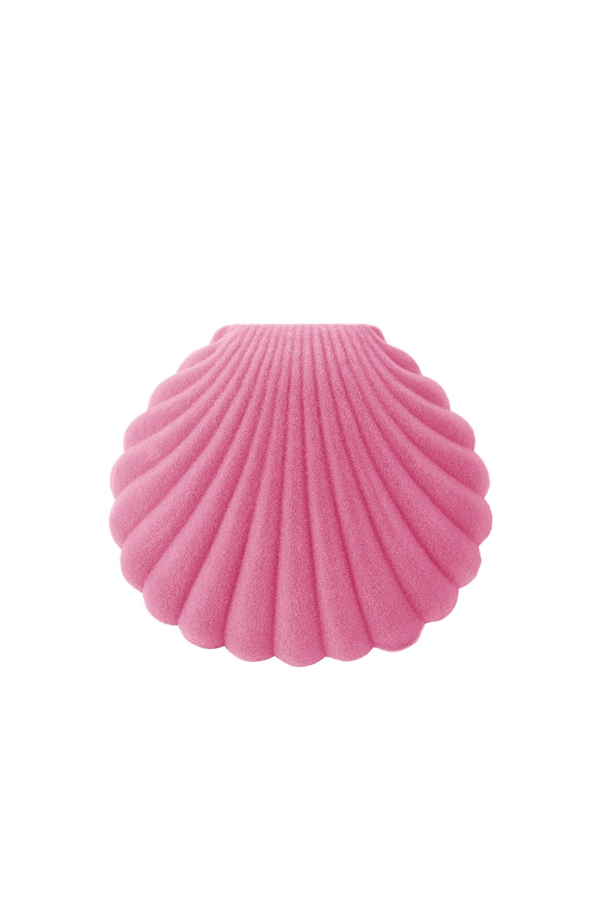 Schelp doosje voor oorbellen/ring AC005