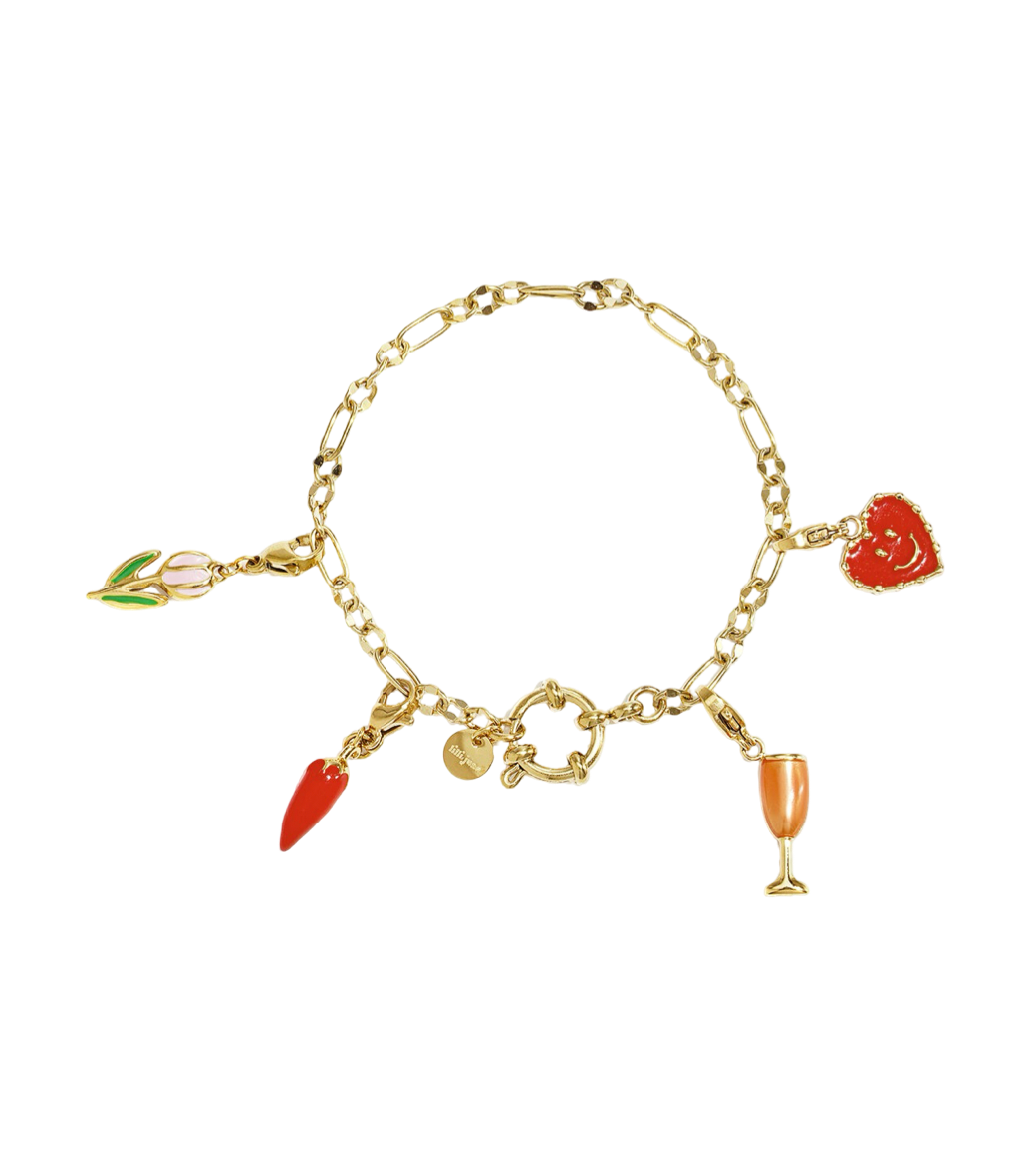 Charm Bracelet CS003 Goud