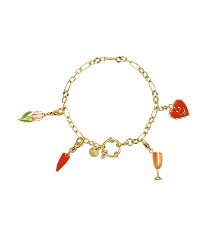 Charm Bracelet CS003 Goud